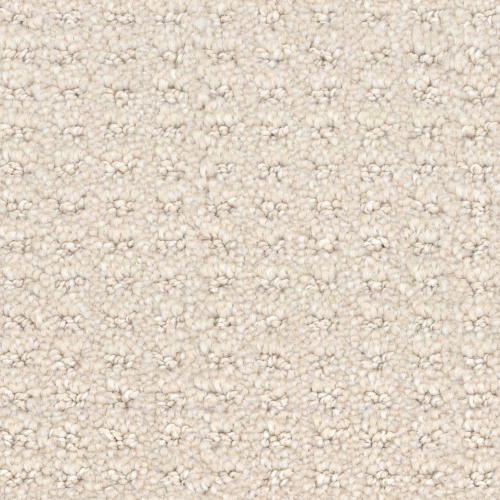 Magnificent Beach Sand