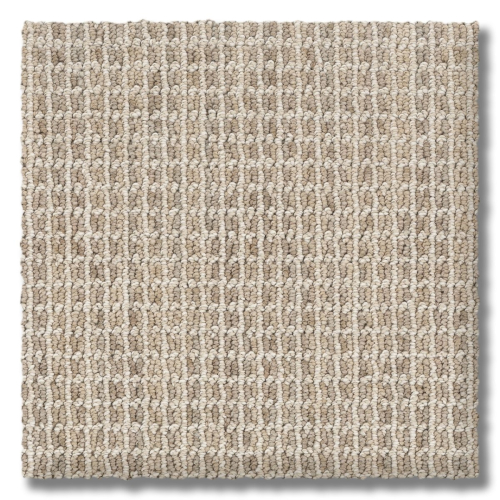 Earthtones Desert Sand