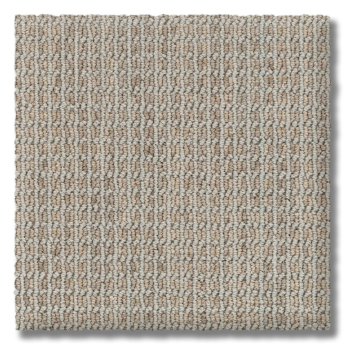 Earthtones Sophisticated Tan