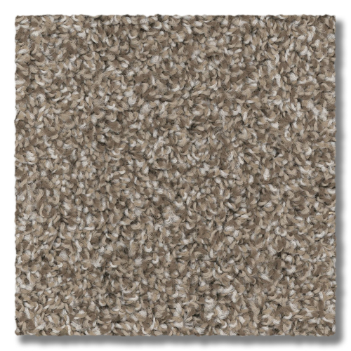 Tunica Elevation