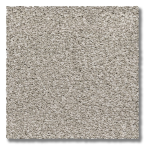 Natures Palette Beige