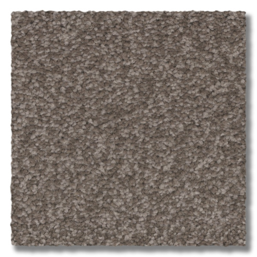Natures Palette Perfect Brown