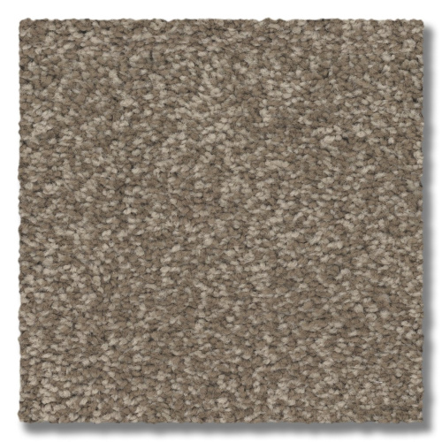 Natures Palette Taupe